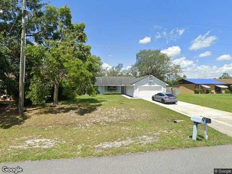 Bald Eagle, KISSIMMEE, FL 34746