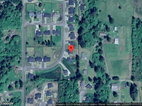 Coyote, MONTESANO, WA 98563