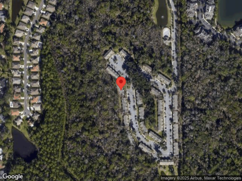 Twisted Tree, JACKSONVILLE, FL 32216