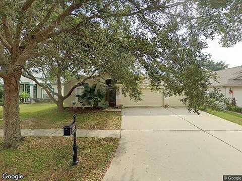 Vinedale, VALRICO, FL 33596