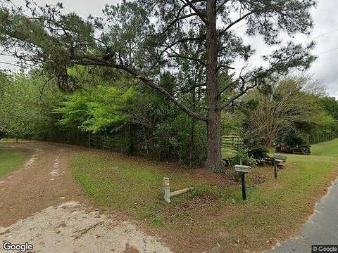 Pine Forest, OCHLOCKNEE, GA 31773