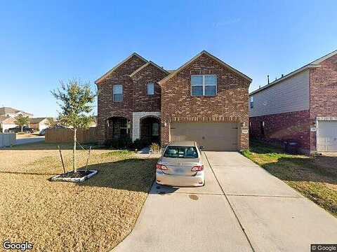 Norway Maple, TOMBALL, TX 77375