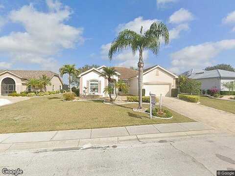 Platinum, SUN CITY CENTER, FL 33573