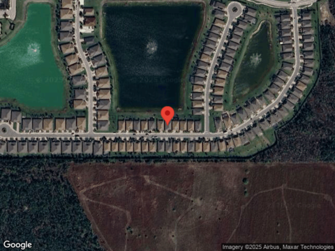 Pigeon Plum, NORTH FORT MYERS, FL 33917