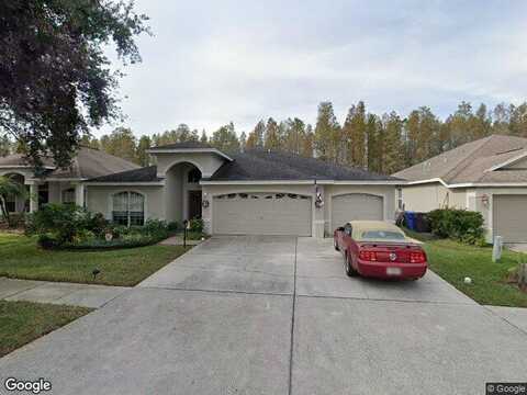 Morden Blush, LUTZ, FL 33558