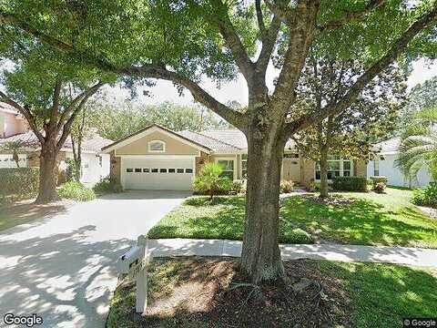 Green Willow, TAMPA, FL 33647