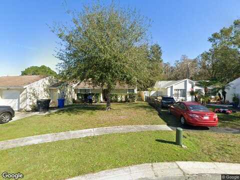 Lakehead, TAMPA, FL 33618