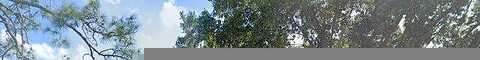Treasure Island, FORT MYERS, FL 33905