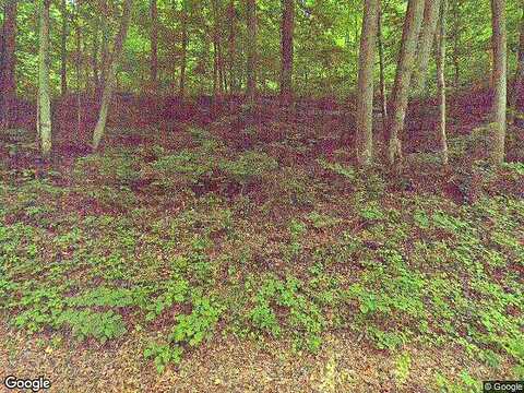 Smith Creek, BRISTOL, VA 24202