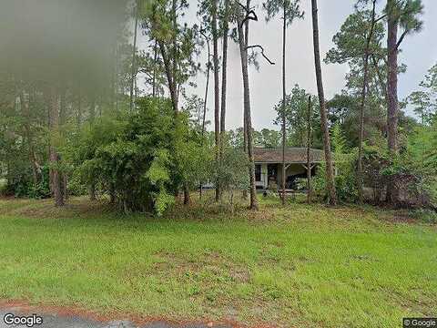 Conifer, ORLANDO, FL 32832