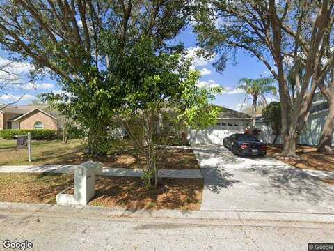 Monte Lake, VALRICO, FL 33596