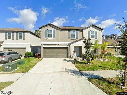 Wildflower Meadow, RIVERVIEW, FL 33579