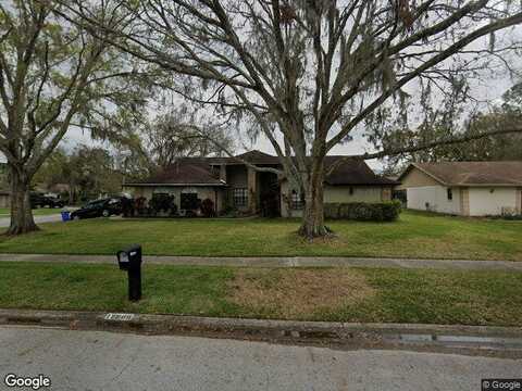 Pintail, RIVERVIEW, FL 33569
