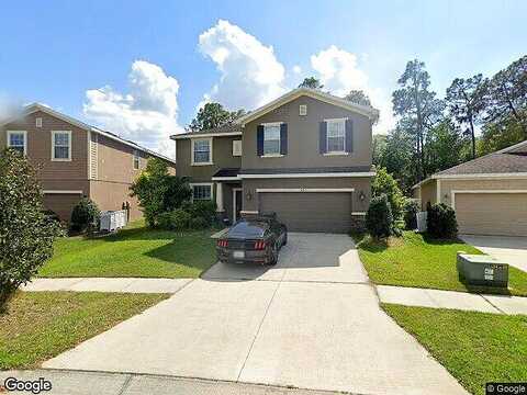 Swaying Moss, RIVERVIEW, FL 33569