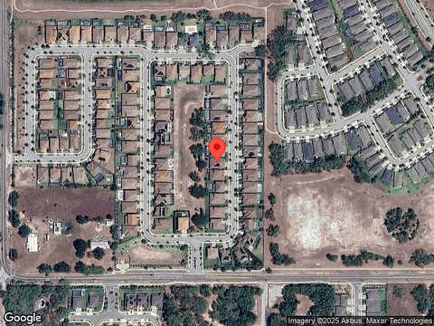 Hawks Fern, RIVERVIEW, FL 33569