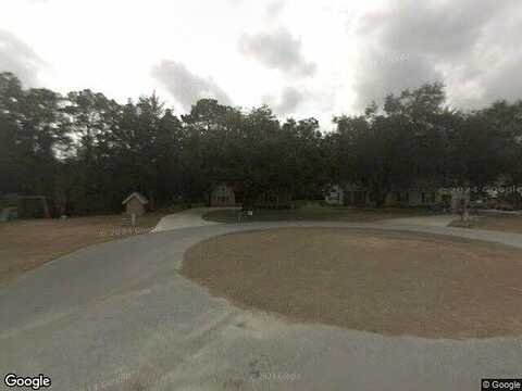 Pheasant, BRUNSWICK, GA 31525