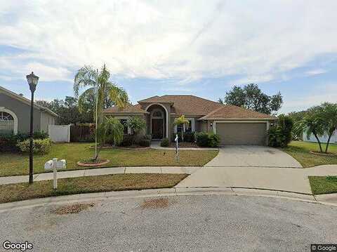 Australian Pine, RIVERVIEW, FL 33579