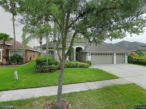 Tavistock, TAMPA, FL 33626