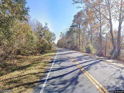 Ga Highway 17, NEWINGTON, GA 30446