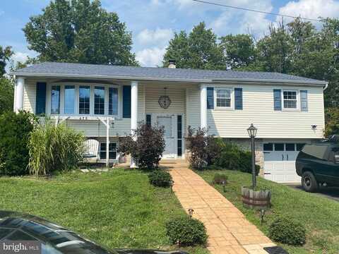 Dori, POTTSTOWN, PA 19464