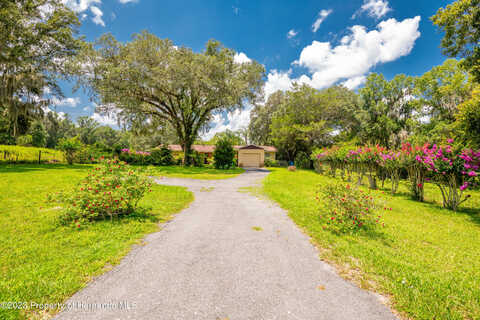 Emerson, BROOKSVILLE, FL 34601