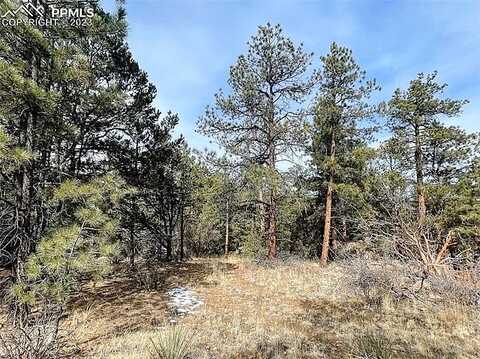 Aspen Trail, WESTCLIFFE, CO 81252