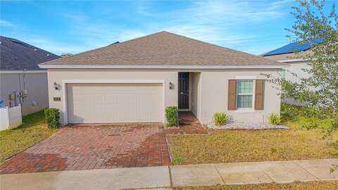 Disa, DAVENPORT, FL 33837