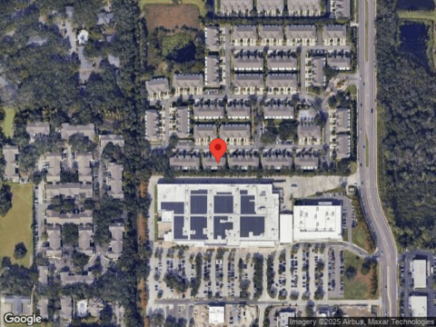 Pink Palmata, RIVERVIEW, FL 33578