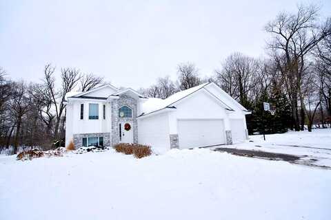 Linnet, CEDAR, MN 55011