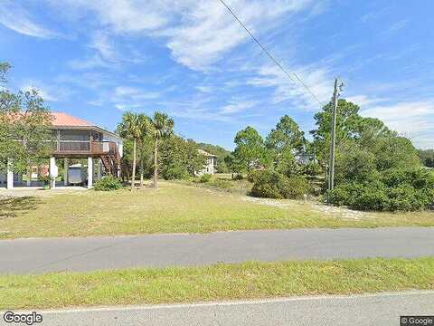 Alligator, PANACEA, FL 32346