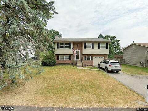 Buttercup, CRANBERRY TOWNSHIP, PA 16066