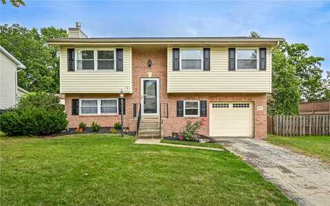 Buttercup, CRANBERRY TOWNSHIP, PA 16066