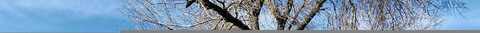 Meadowvale, GRAND JUNCTION, CO 81504