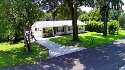 Washingtonia, BARTOW, FL 33830