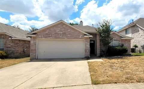 Bridle, SAGINAW, TX 76179