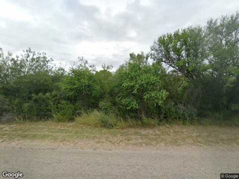 Quail, DEL RIO, TX 78840