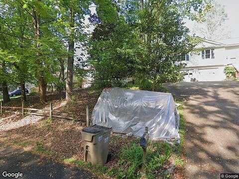 Pine Tree, GAINESVILLE, GA 30506