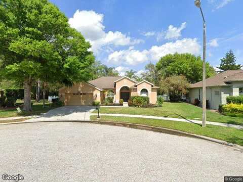 Wavyedge, TRINITY, FL 34655