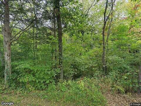 Blue Grass, LEXINGTON, VA 24450
