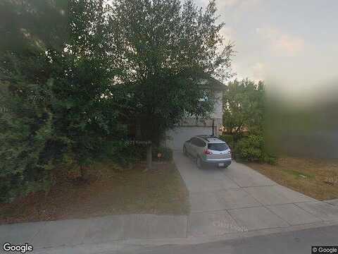 Dandelion, SAN ANTONIO, TX 78245