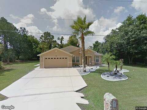 Pineapple, PALM COAST, FL 32164