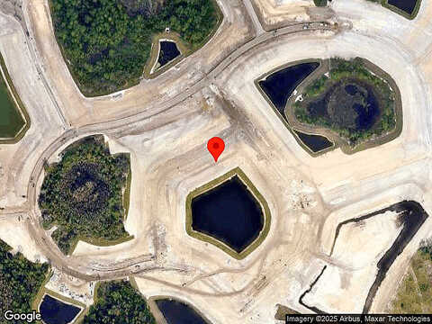 Beautyberry, CLERMONT, FL 34714