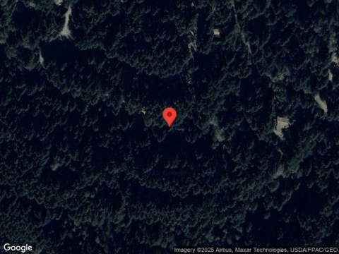 Loganberry, BELLINGHAM, WA 98229