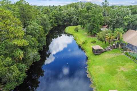 Geese, LAND O LAKES, FL 34639