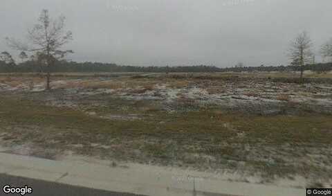 Parish, HINESVILLE, GA 31313