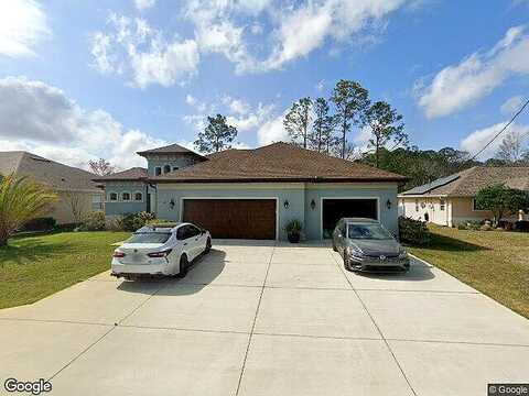 Kaffir Lily, PALM COAST, FL 32164