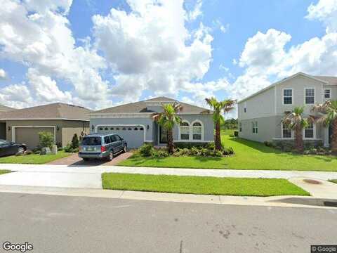 Bracken Fern, CLERMONT, FL 34714