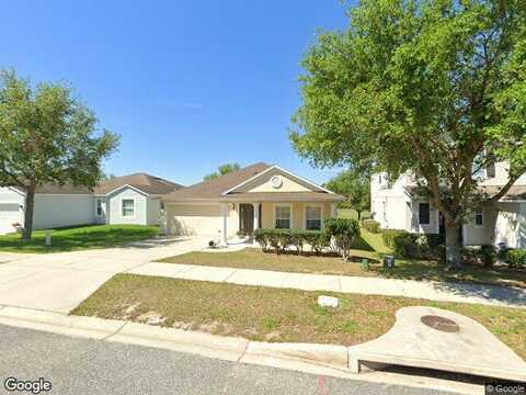 Prairie Falcon, GROVELAND, FL 34736