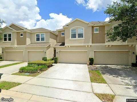 Purple Plum, OVIEDO, FL 32765