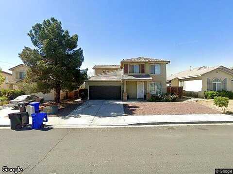 Tortoise, VICTORVILLE, CA 92394